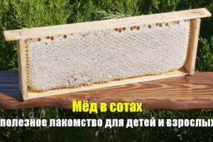 Мёд в сотах очень полезный